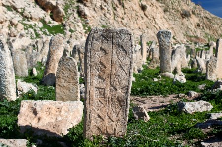 Views around the river, mountains, cemetery, and Ottoman-era fort at Dwin 17