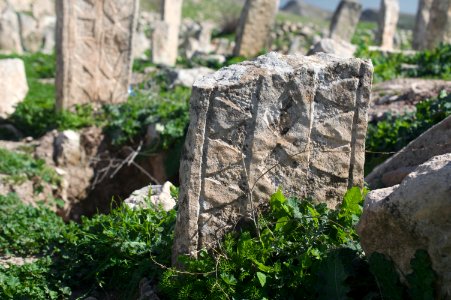 Views around the river, mountains, cemetery, and Ottoman-era fort at Dwin 16