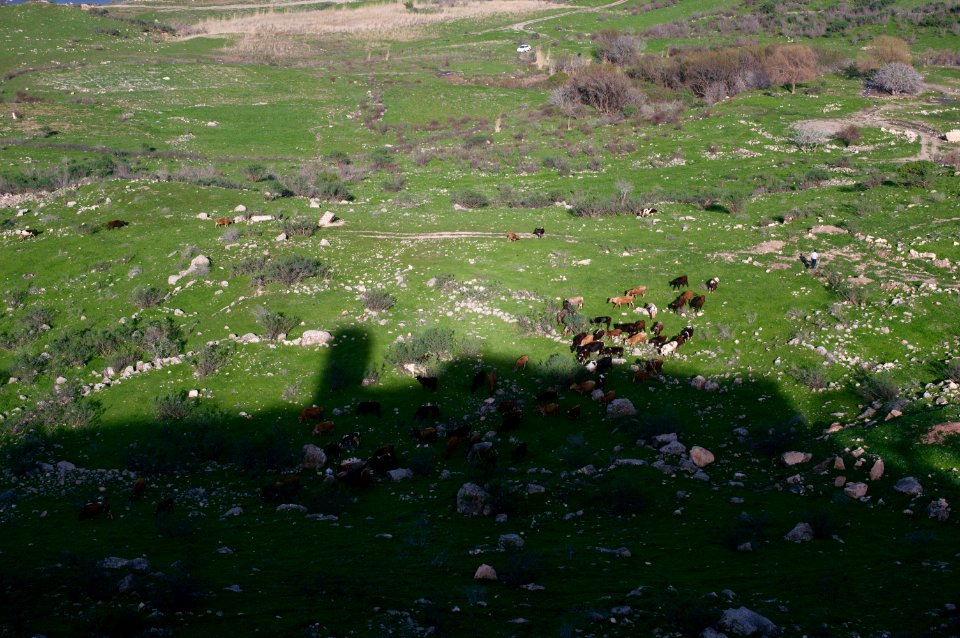 Views around the river, mountains, cemetery, and Ottoman-era fort at Dween 13