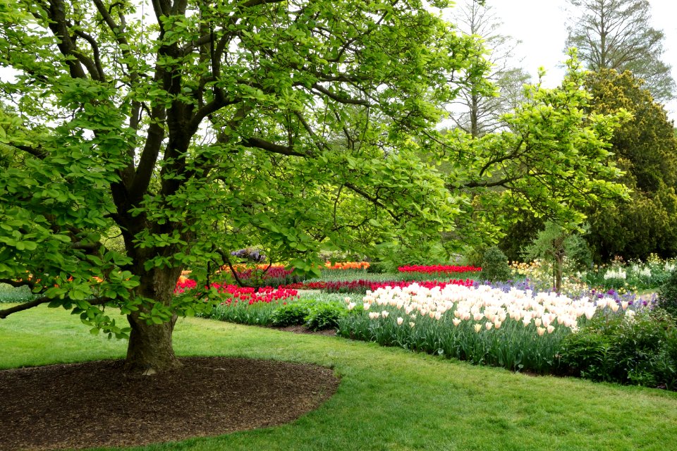 View of Longwood Gardens - DSC00955