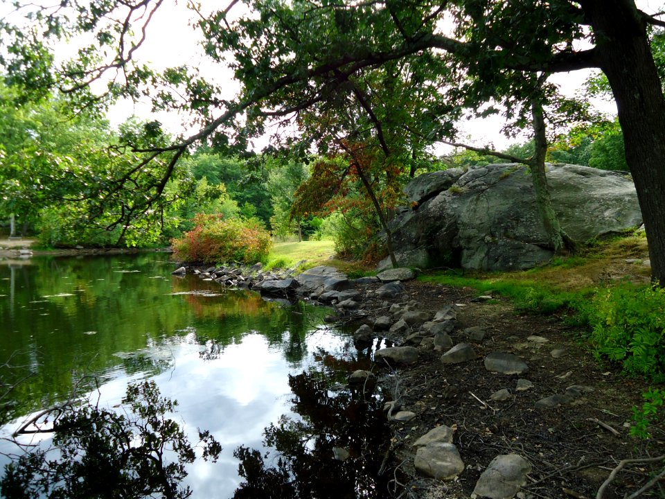 View of lake in New Jersey with rock