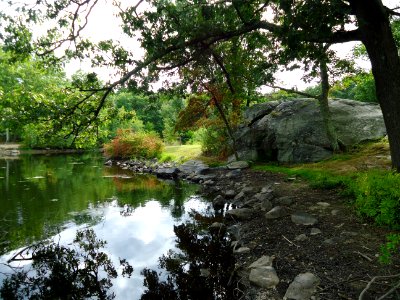 View of lake in New Jersey with rock photo