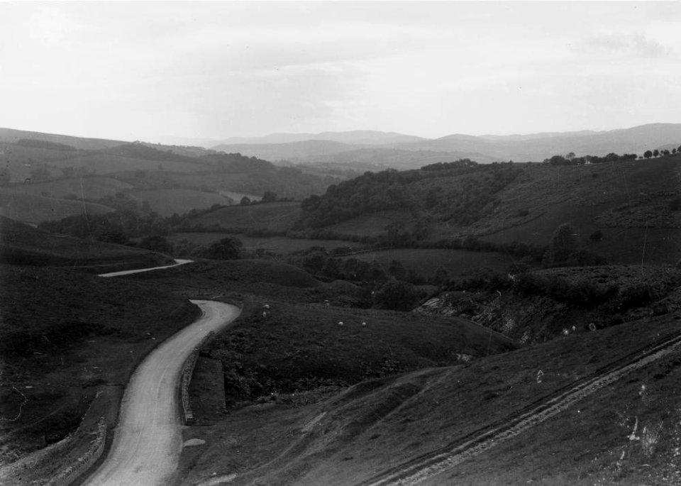 View of New Radnor (1294337)