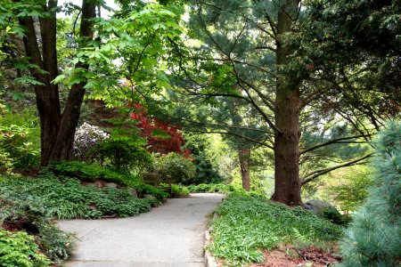 View of Longwood Gardens - DSC00757