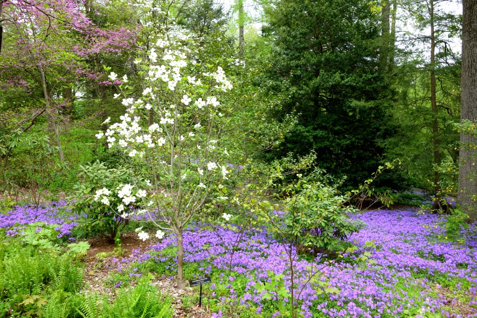 View of Longwood Gardens - DSC00978