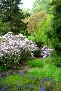 View of Longwood Gardens - DSC00763 photo