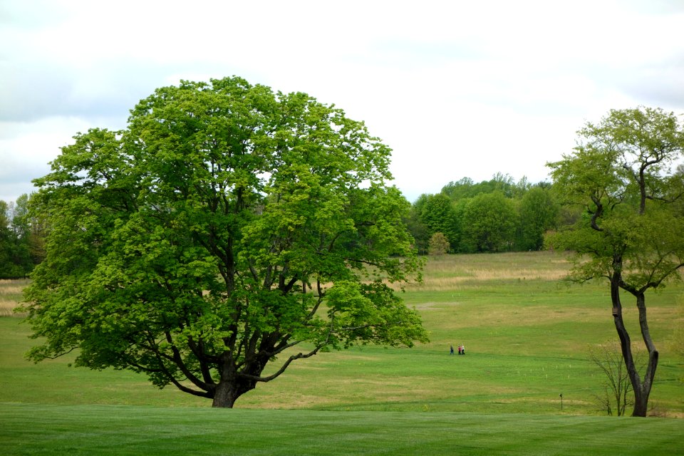 View of Longwood Gardens - DSC00984