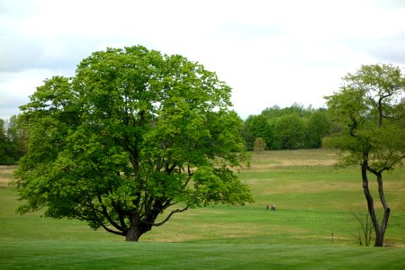 View of Longwood Gardens - DSC00984 photo