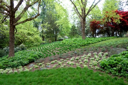 View of Longwood Gardens - DSC00801 photo