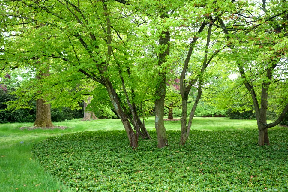 View of Longwood Gardens - DSC01273