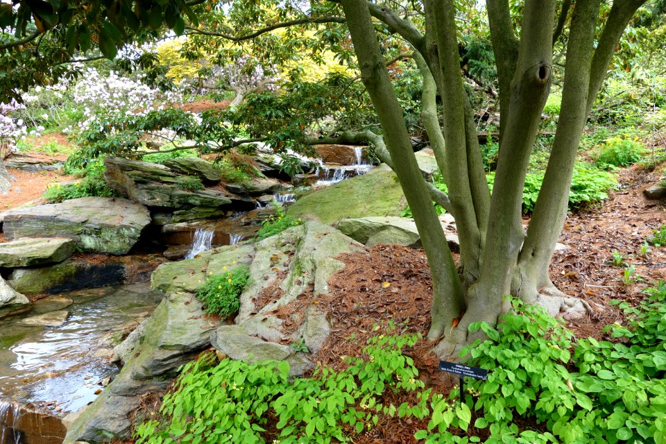 View of Longwood Gardens - DSC00884