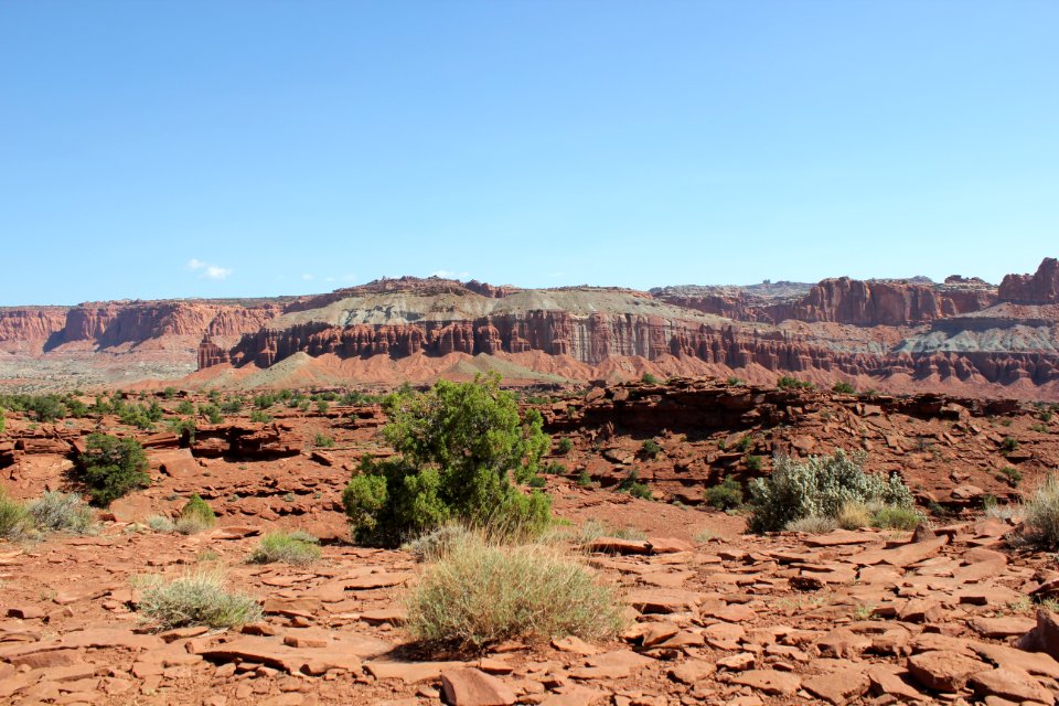 View of Capitol Reef