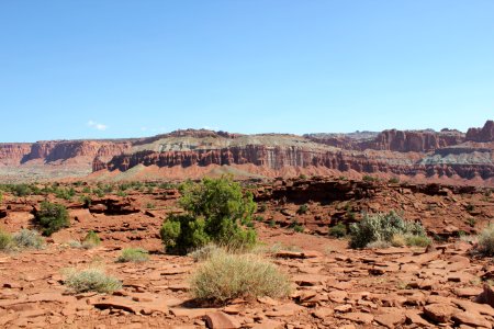 View of Capitol Reef photo