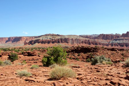 View of Capitol Reef