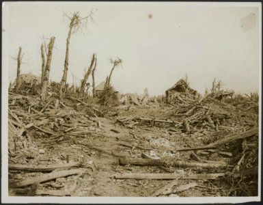 View of Morval which we captured on the 25th September 1916, Bestanddeelnr 158-2767