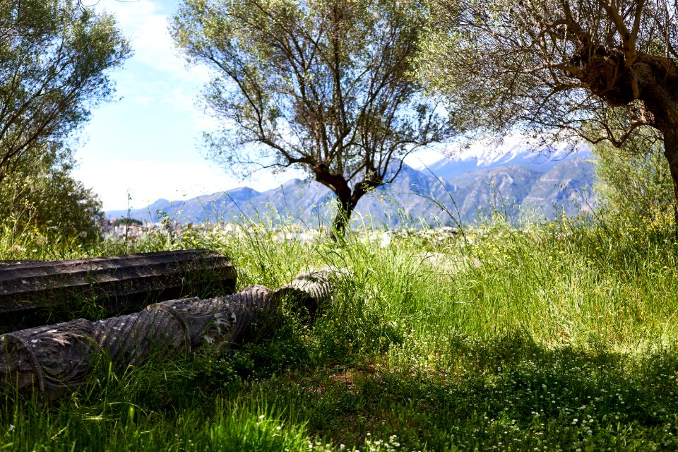 View of Mount Taygetus from the ruins of the ancient theatre of Sparta on 15 May 2019