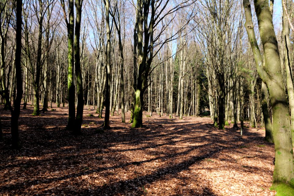 View from Haderweg Taunus 2020-03-25 37