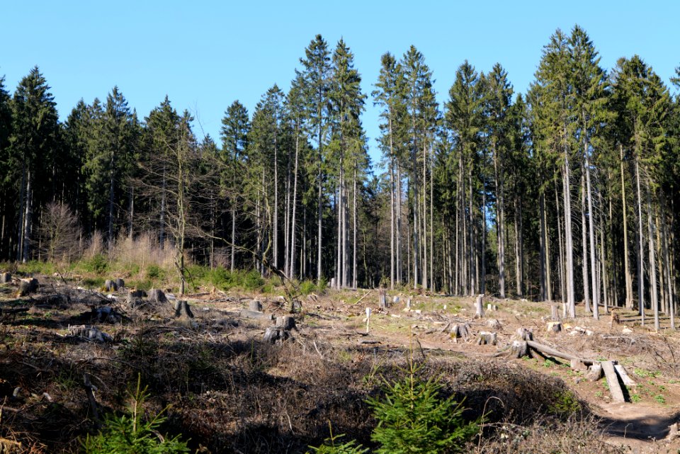 View from Haderweg Taunus 2020-03-25 50