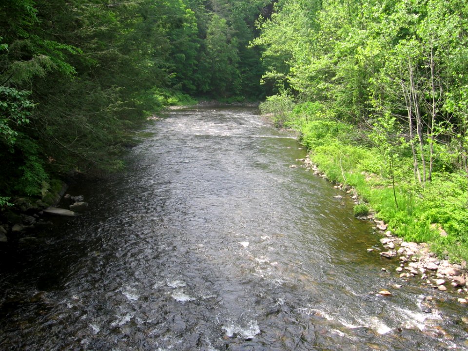 View from Hauser footbridge 034