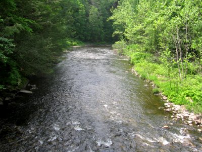 View from Hauser footbridge 034