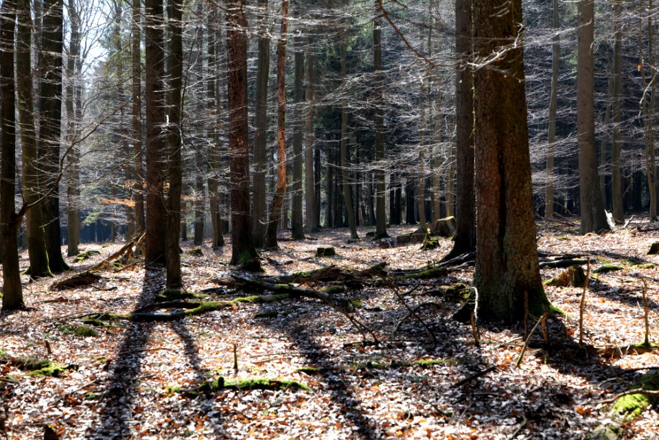View from Haderweg Taunus 2020-03-25 35