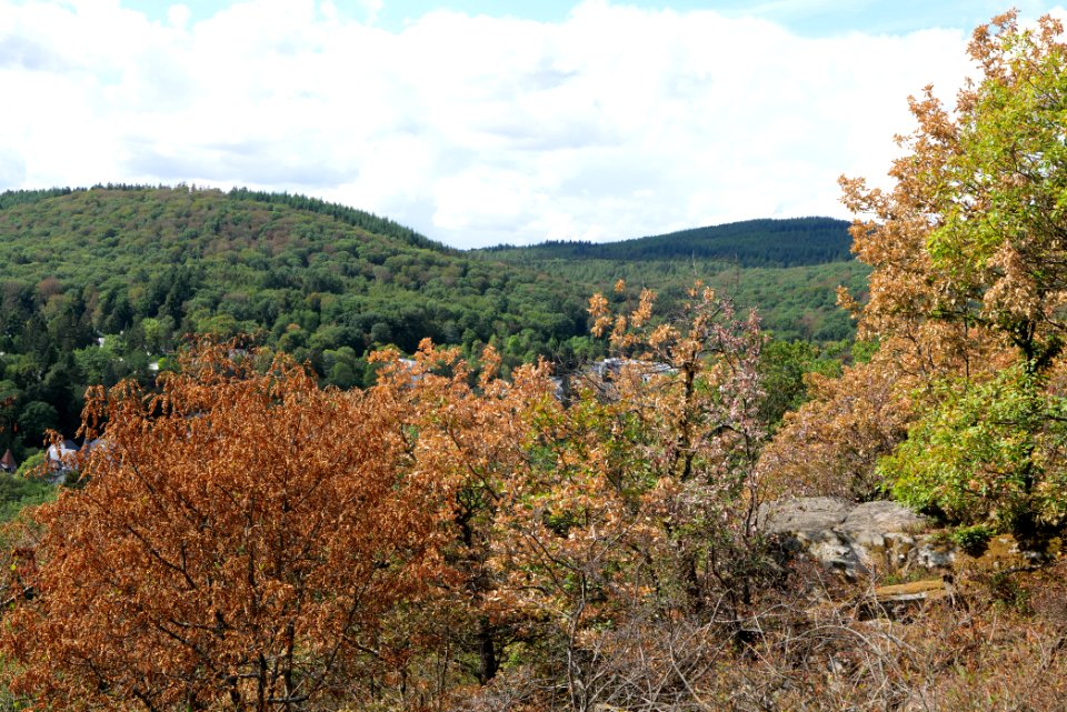 View from Hildablick Burghain Falkenstein 2020-08-18 05