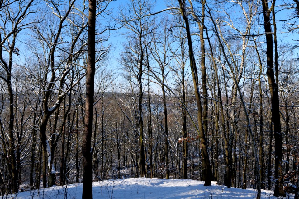 View from Havelhöhenweg with snow 2021-01-31 02