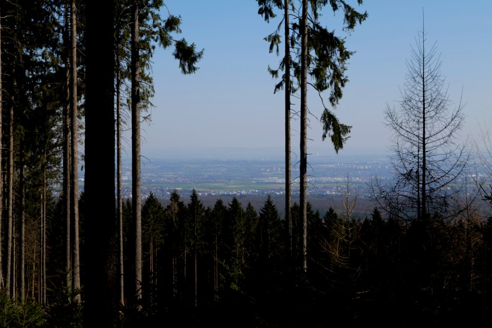 View from Haderweg Taunus 2020-03-25 55