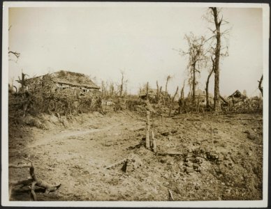 View of Morval which we captured on the 25th September 1916, Bestanddeelnr 158-2766