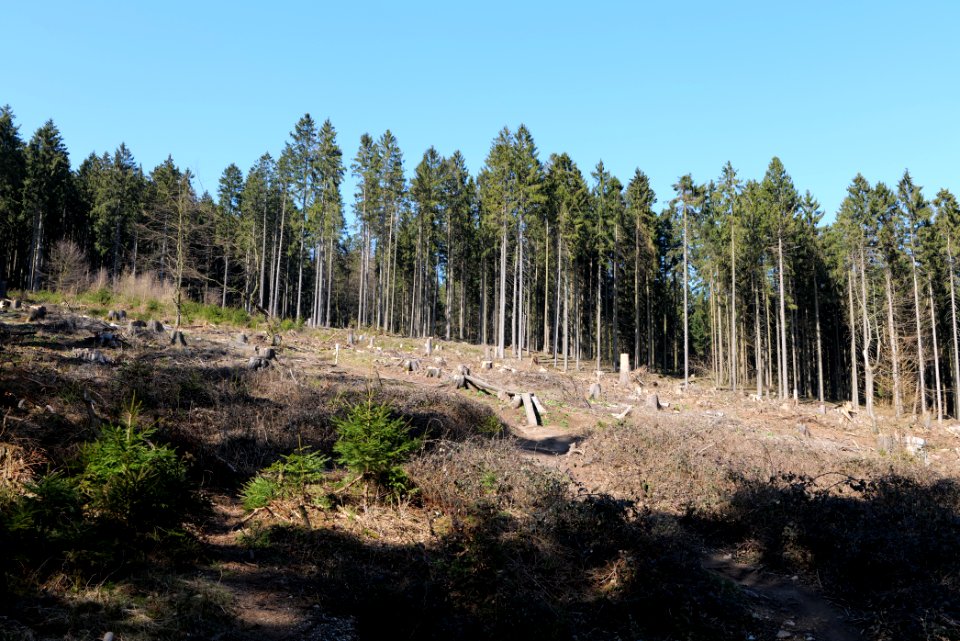 View from Haderweg Taunus 2020-03-25 47