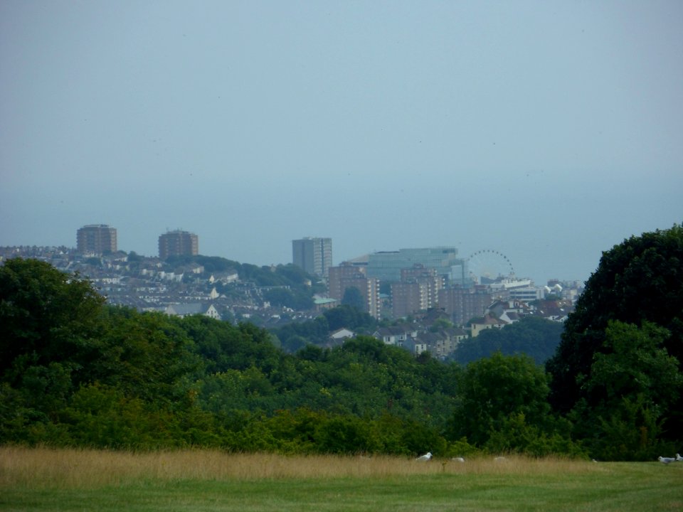 View from Hollingbury Hill, Brighton (August 2013) (54)