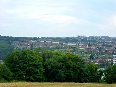 View from Hollingbury Hill, Brighton (August 2013) (9)