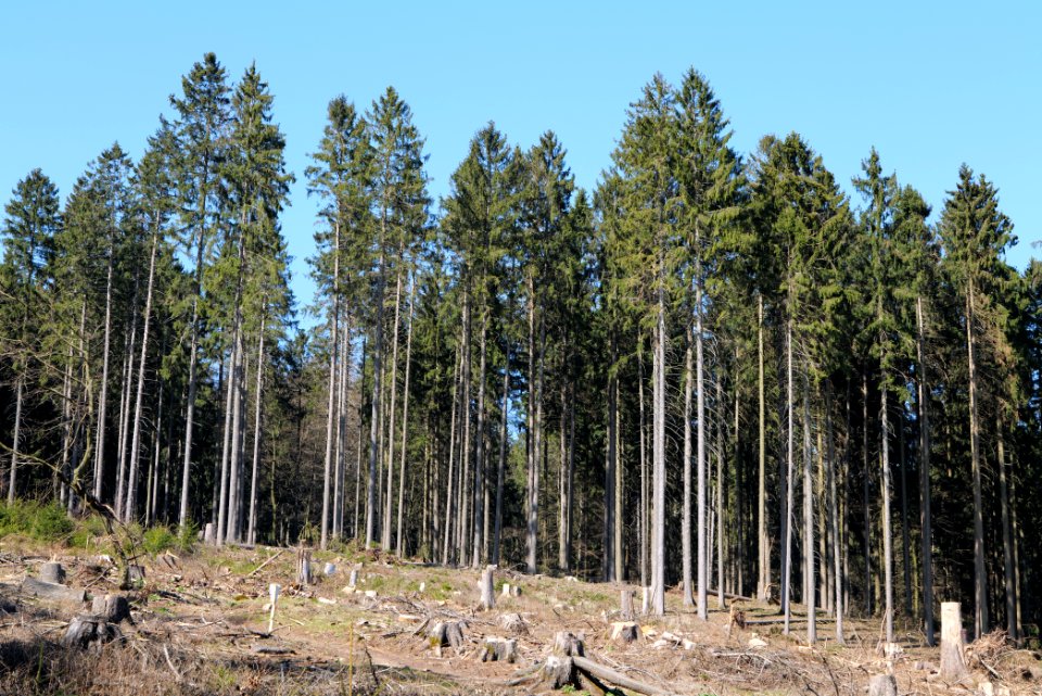 View from Haderweg Taunus 2020-03-25 49