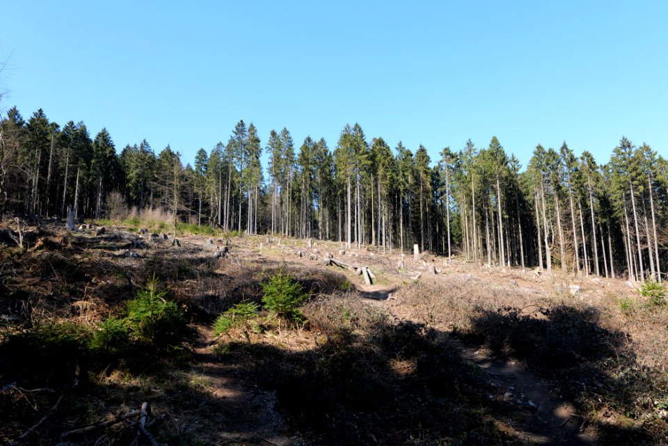 View from Haderweg Taunus 2020-03-25 46