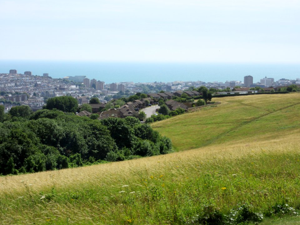 View from Hollingbury Hill, Brighton (July 2015) (12)