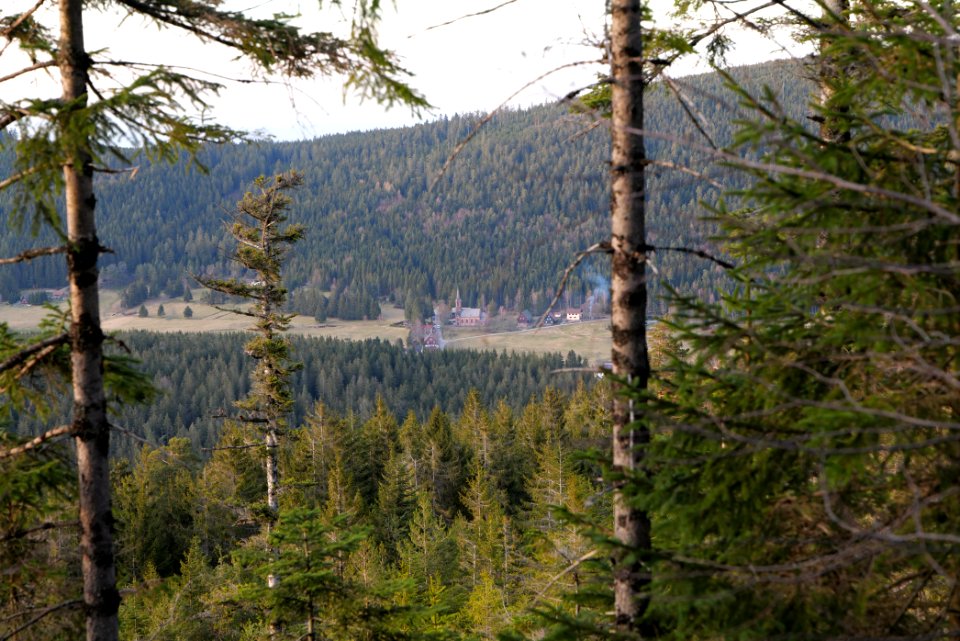 View from Hoher Ochsenkopf 2020-03-15 07