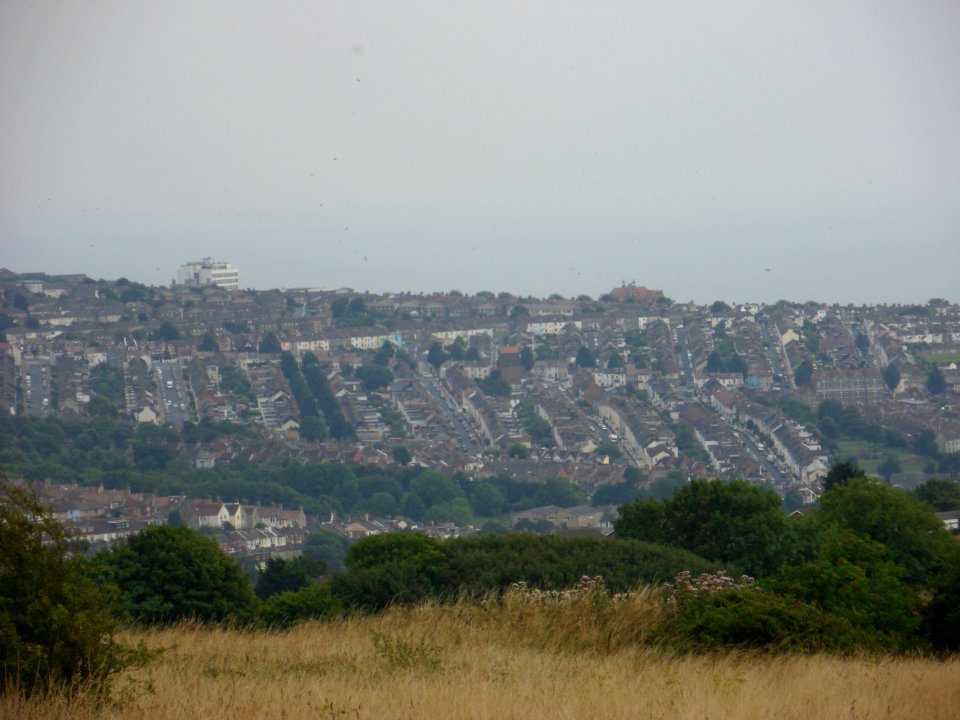 View from Hollingbury Hill, Brighton (August 2013) (49)