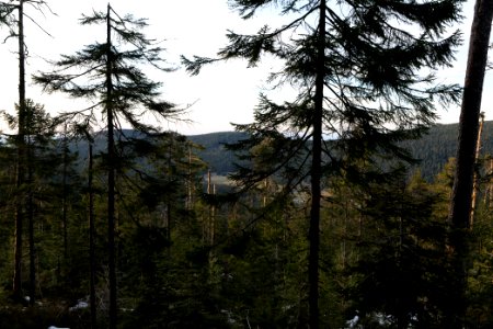 View from Hoher Ochsenkopf 2020-03-15 05