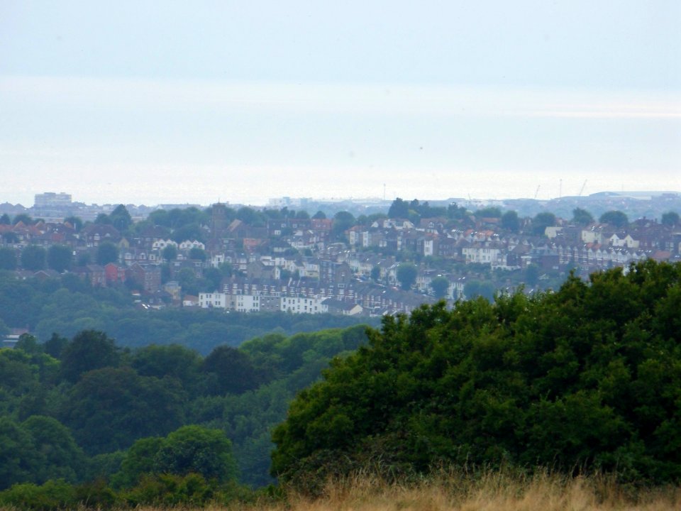 View from Hollingbury Hill, Brighton (August 2013) (43)