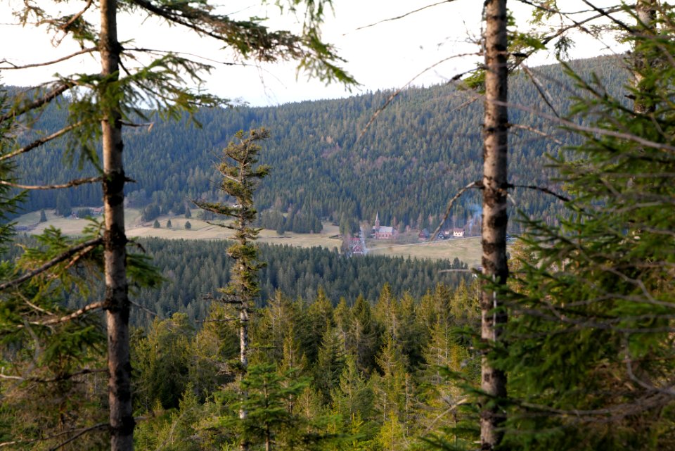 View from Hoher Ochsenkopf 2020-03-15 08