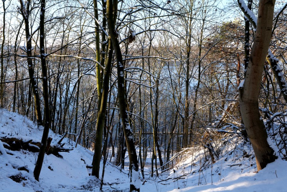 View from Havelhöhenweg with snow 2021-01-31 13