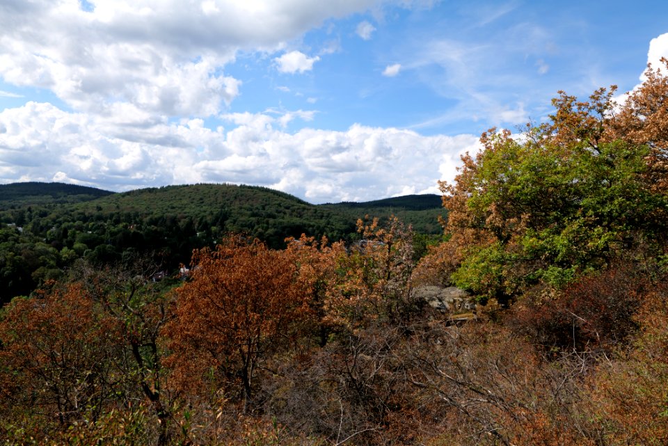 View from Hildablick Burghain Falkenstein 2020-08-18 01