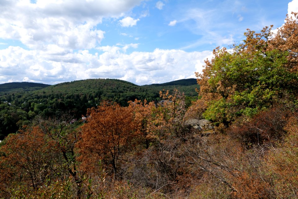 View from Hildablick Burghain Falkenstein 2020-08-18 02