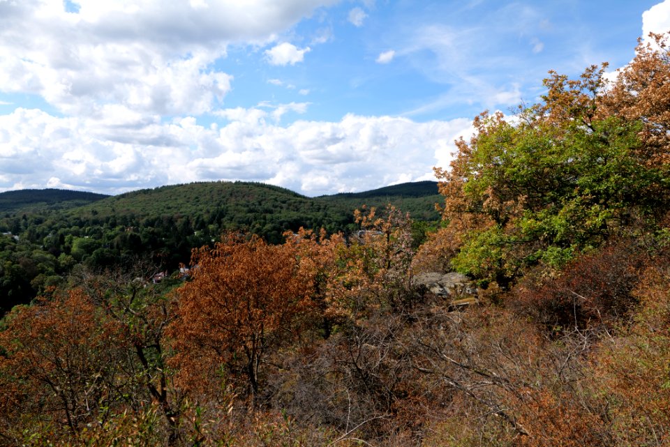 View from Hildablick Burghain Falkenstein 2020-08-18 03