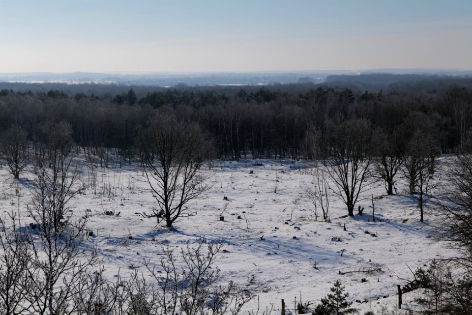 View from Finkenberg observation tower with snow 2021-02-14 06