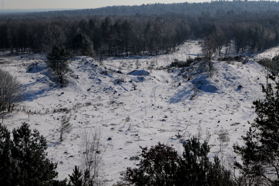 View from Finkenberg observation tower with snow 2021-02-14 09