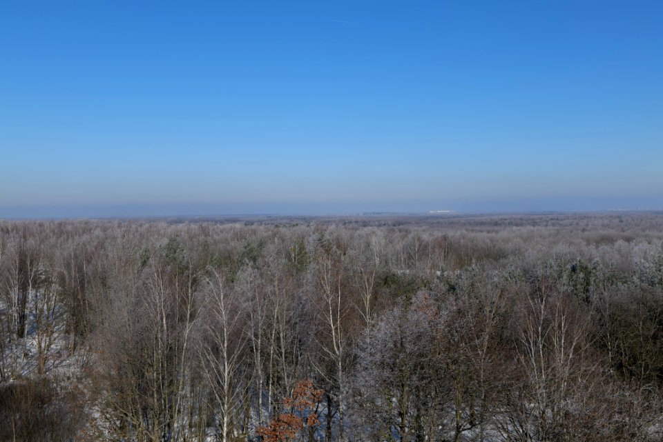 View from Finkenberg observation tower with snow 2021-02-14 03