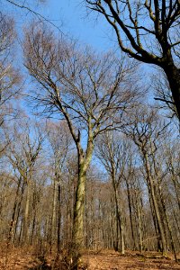 View from Haderweg Taunus 2020-03-25 11