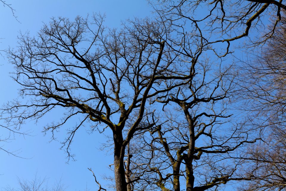 View from Haderweg Taunus 2020-03-25 15