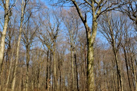 View from Haderweg Taunus 2020-03-25 08